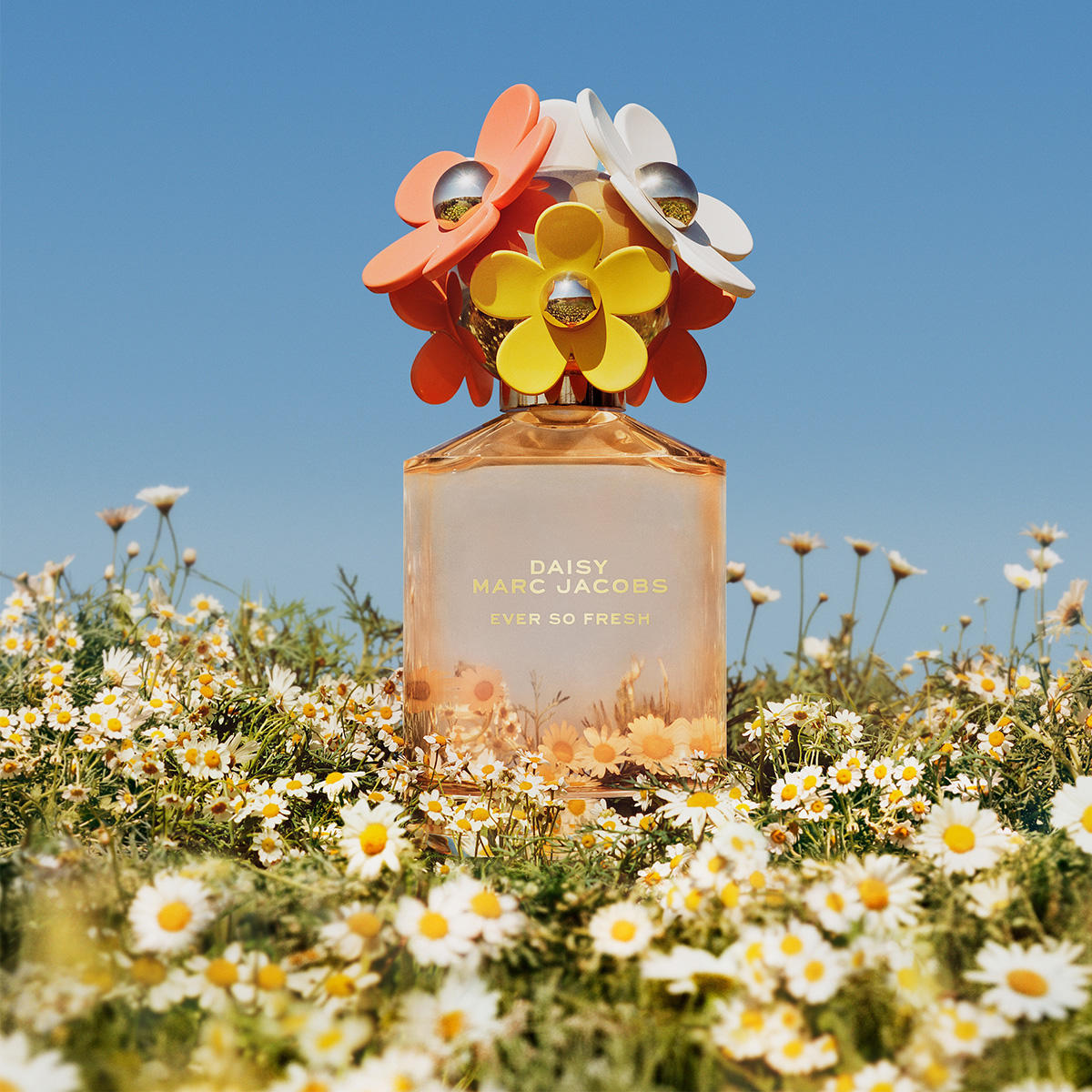 DAISY EVER SO FRESH
