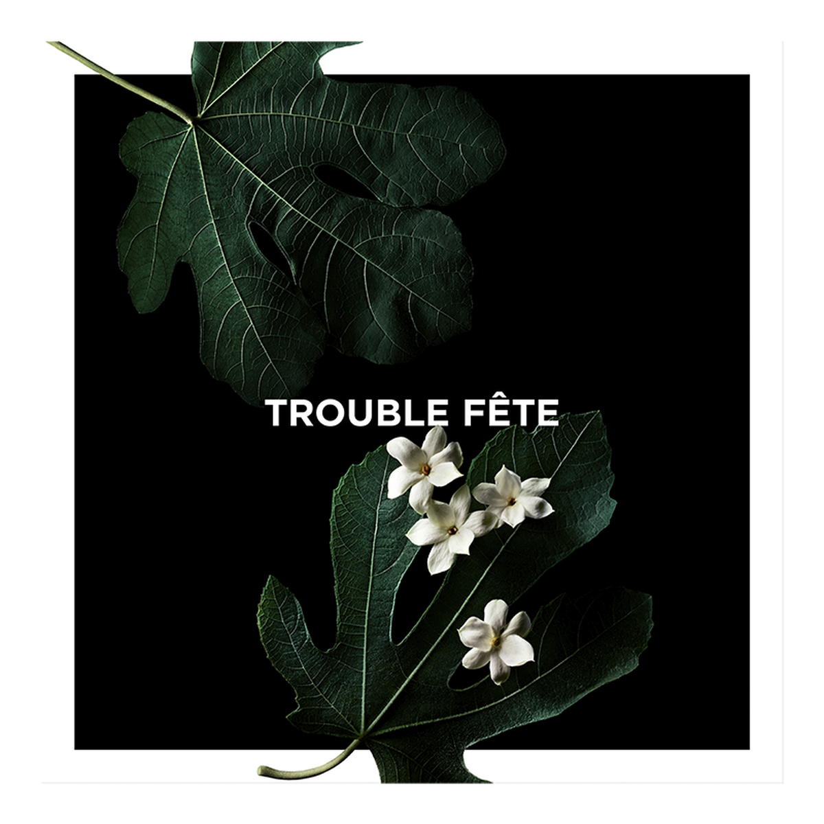 TROUBLE FETE
