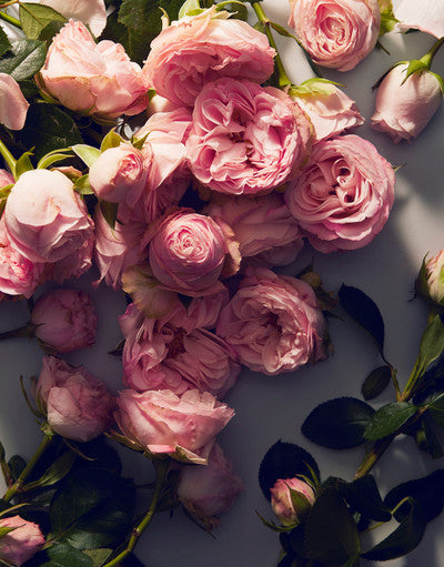 Dolce Rose Eau de Toilette