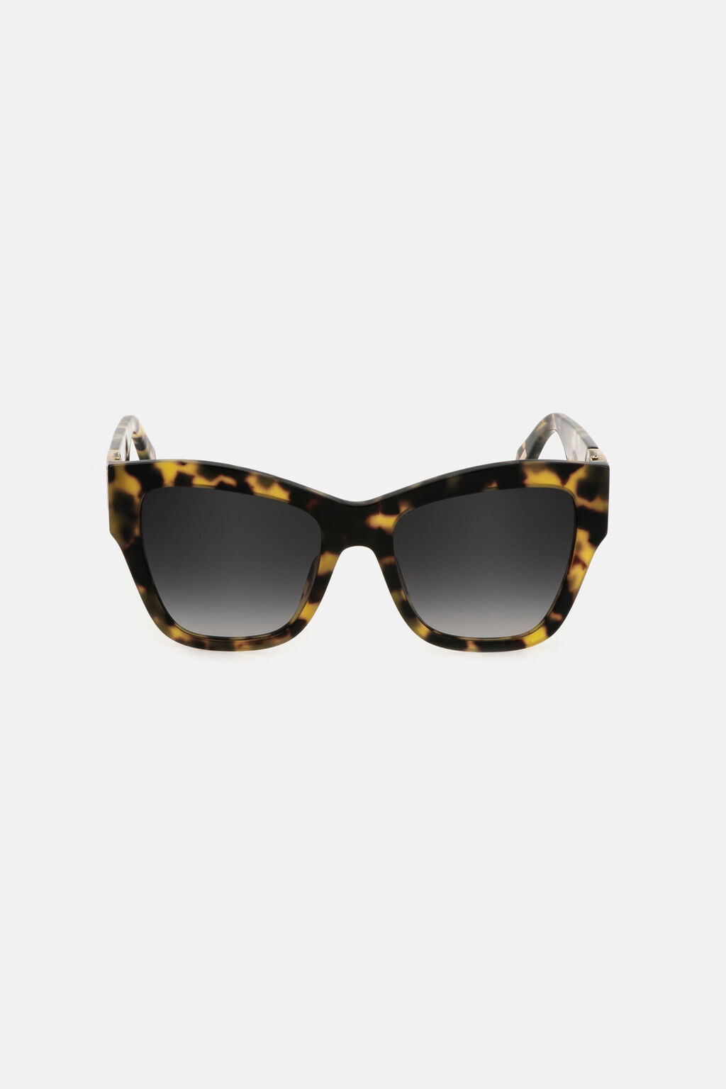 Sunglasses Just Cavalli