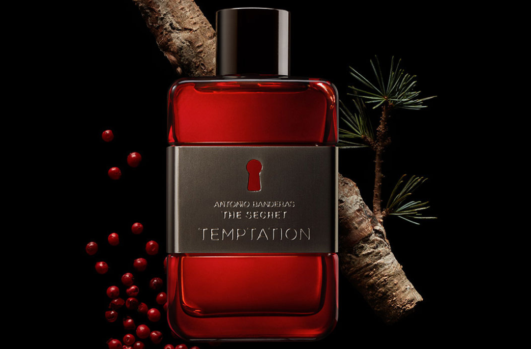 THE SECRET TEMPTATION