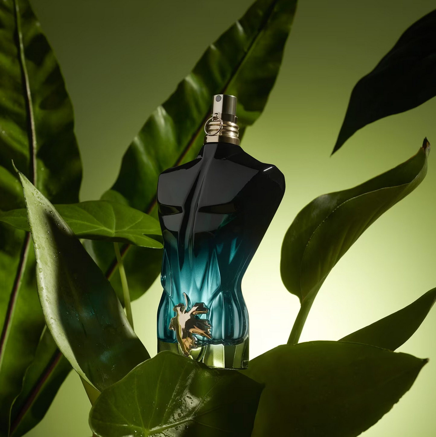 Le Beau - Le Parfum