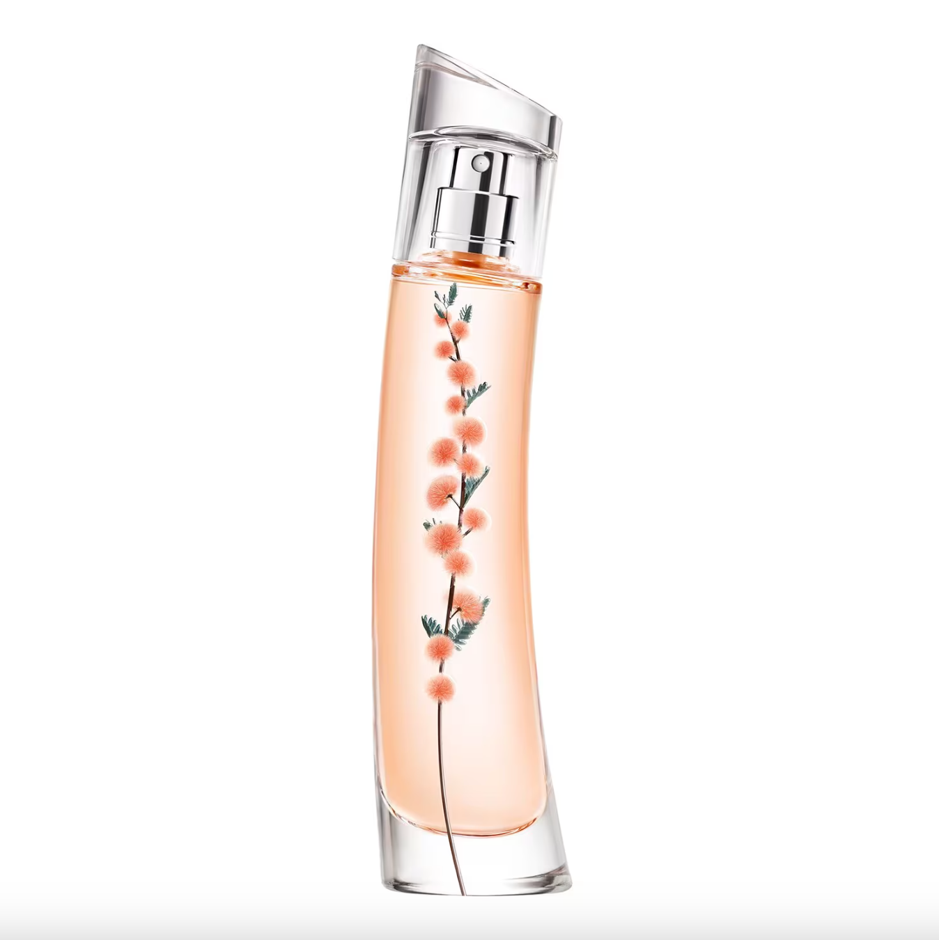Flower Ikebana Mimosa by KENZO