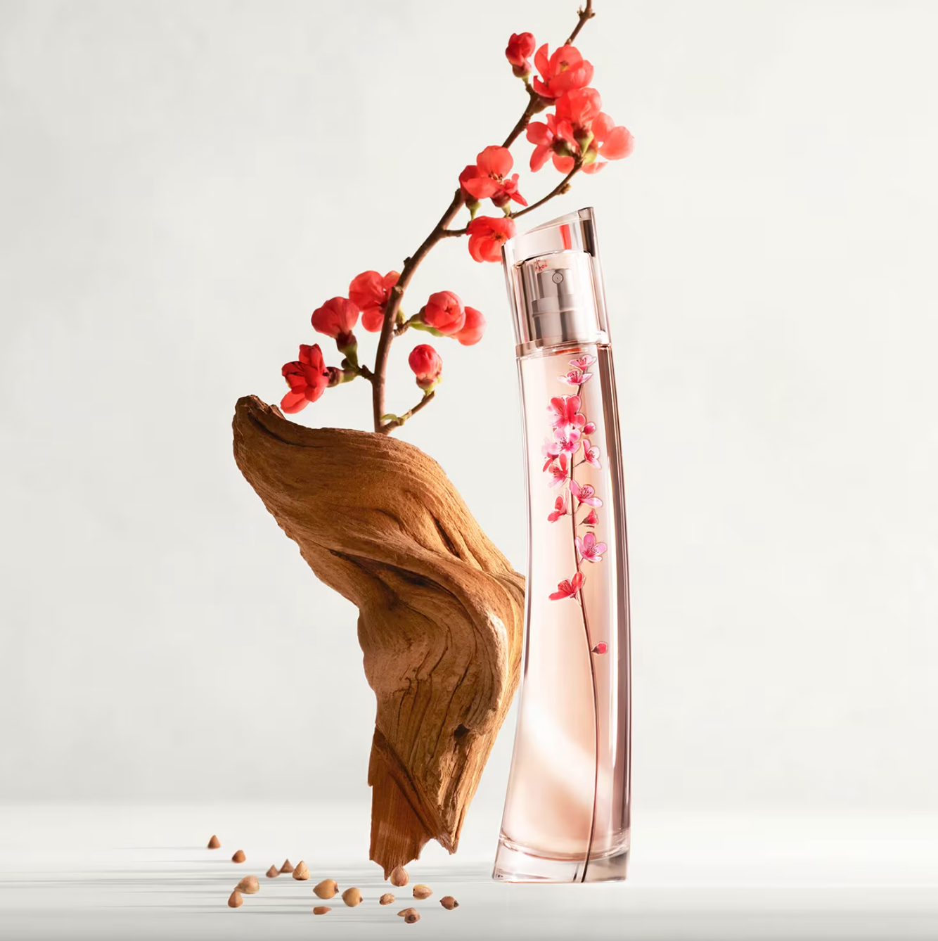 Flower Ikebana By Kenzo