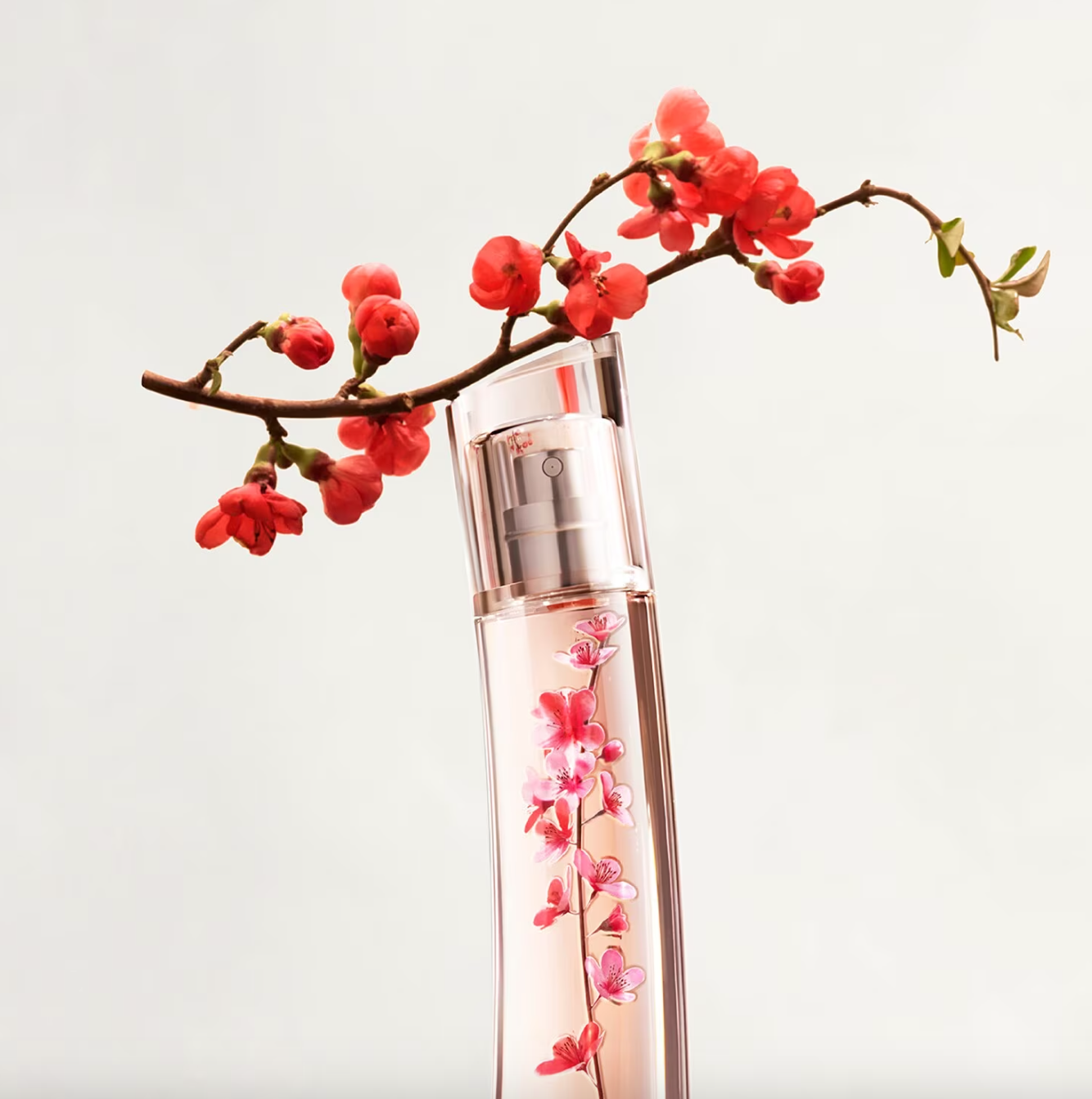 Flower Ikebana By Kenzo
