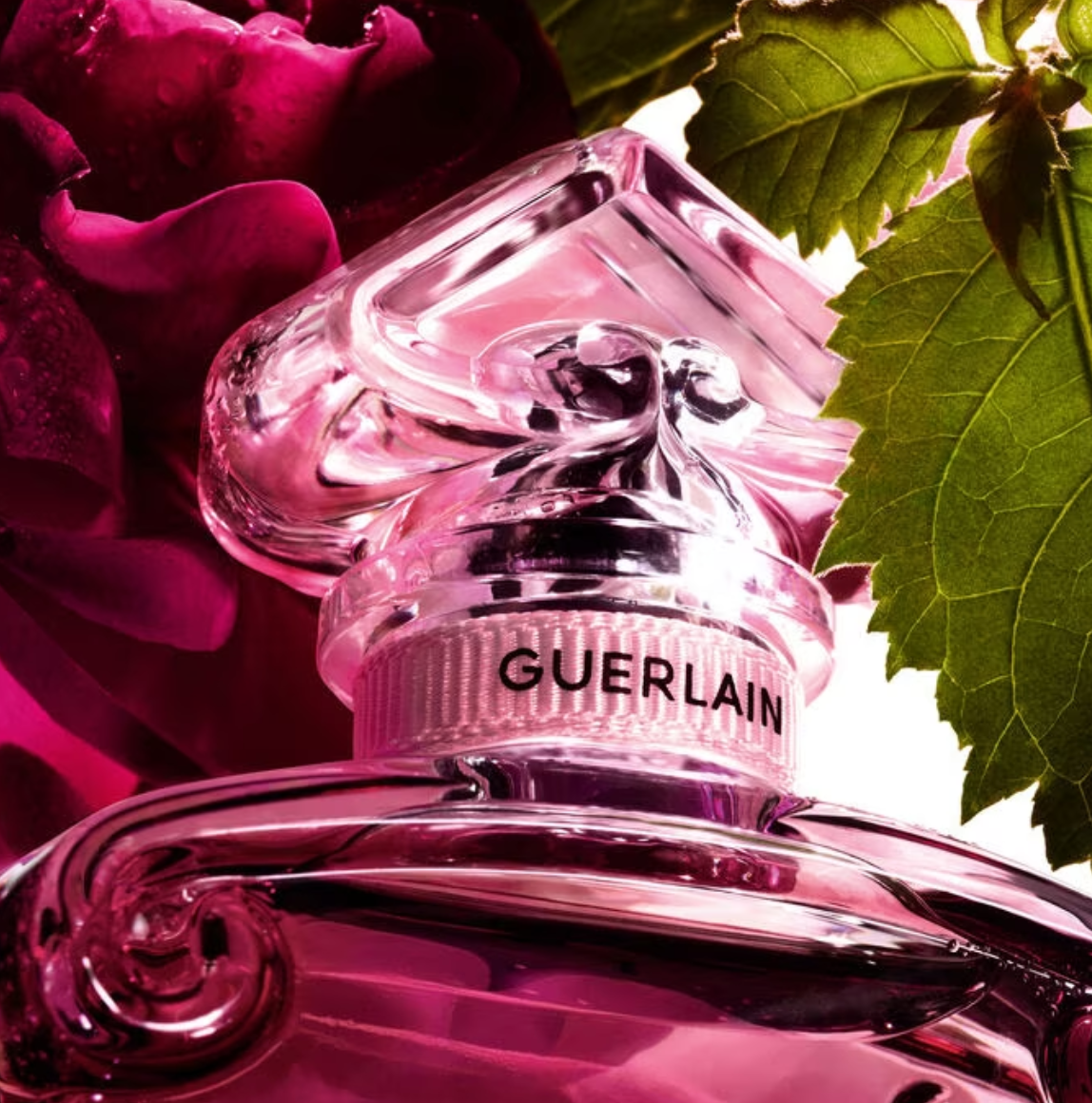 LA PETITE ROBE NOIRE EAU DE PARFUM ABSOLUE