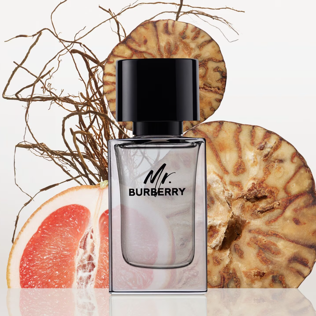 Mr. Burberry Eau de Toilette