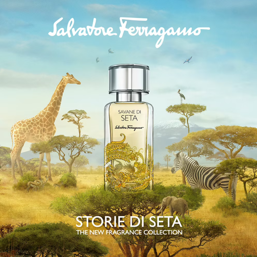 Savane di Seta