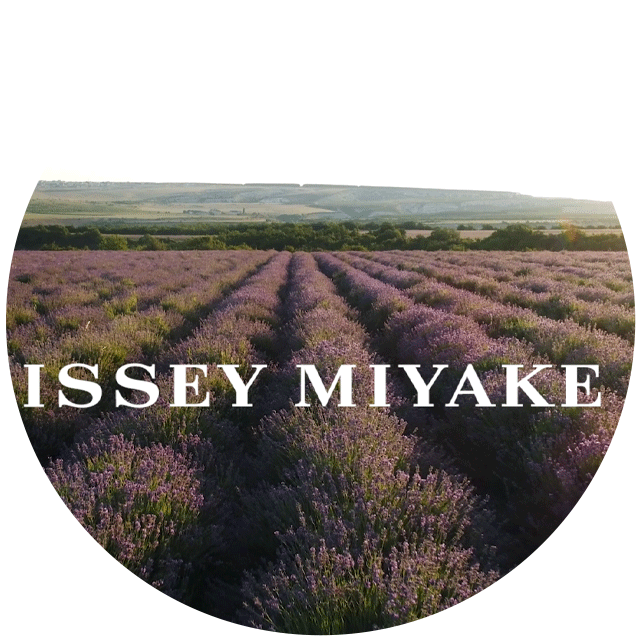L'EAU D'ISSEY POUR HOMME SOLAR LAVENDER