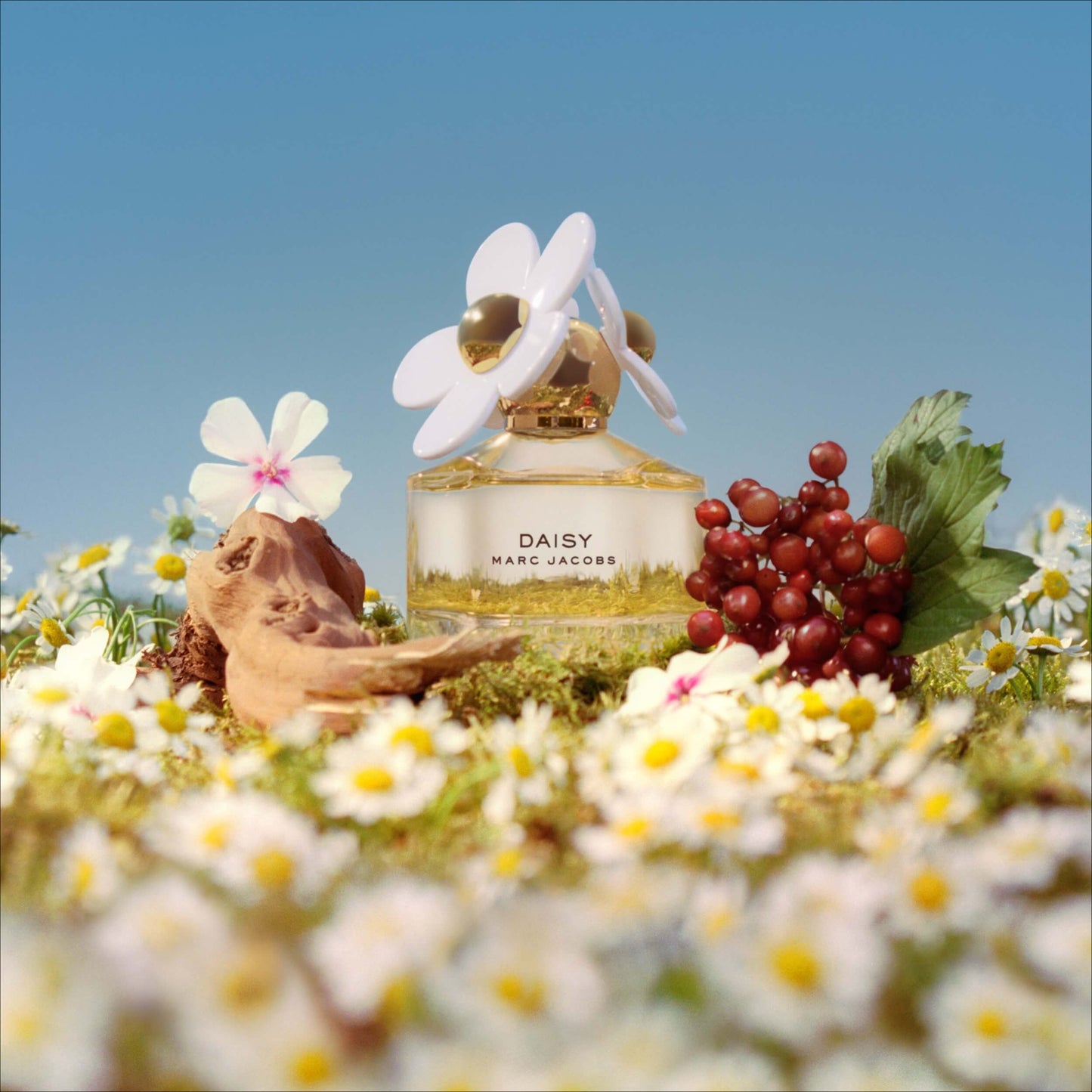 DAISY EAU DE TOILETTE