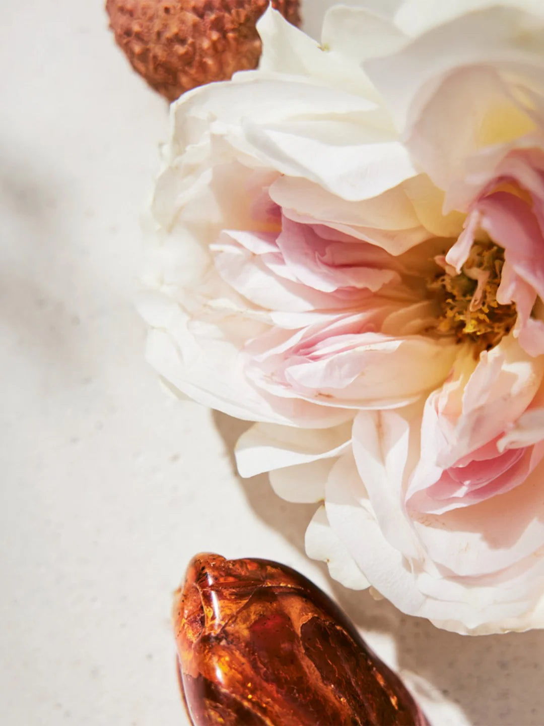 CHLOÉ EAU DE PARFUM