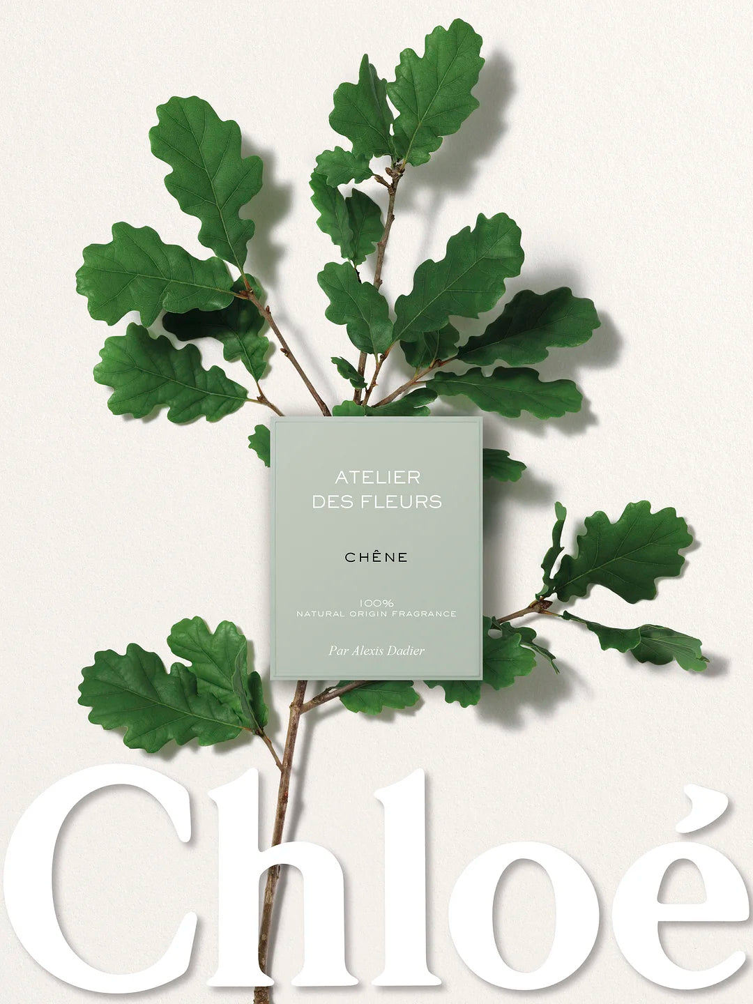 ATELIER DES FLEURS CHÊNE