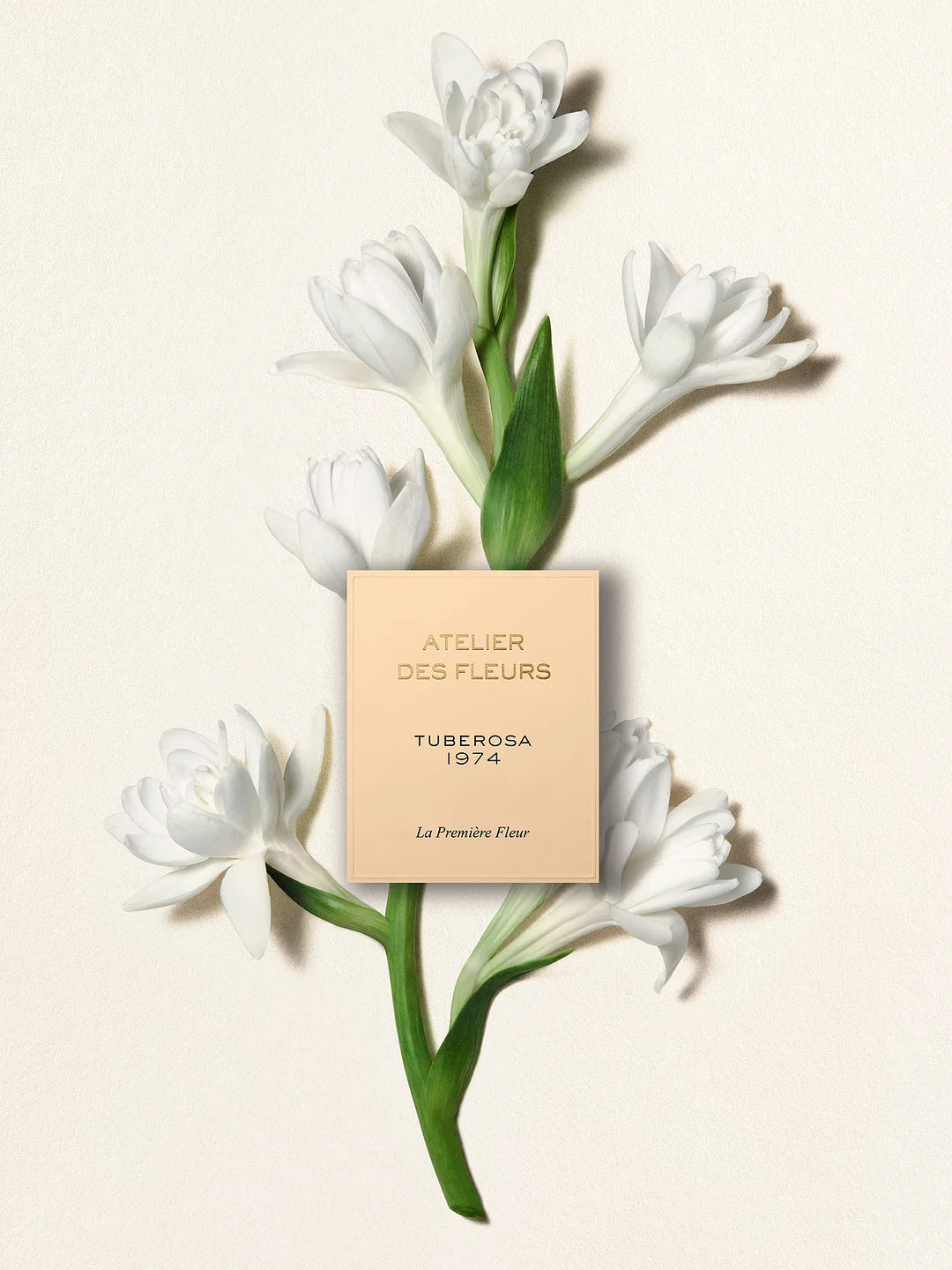 ATELIER DES FLEURS TUBEROSA 1974