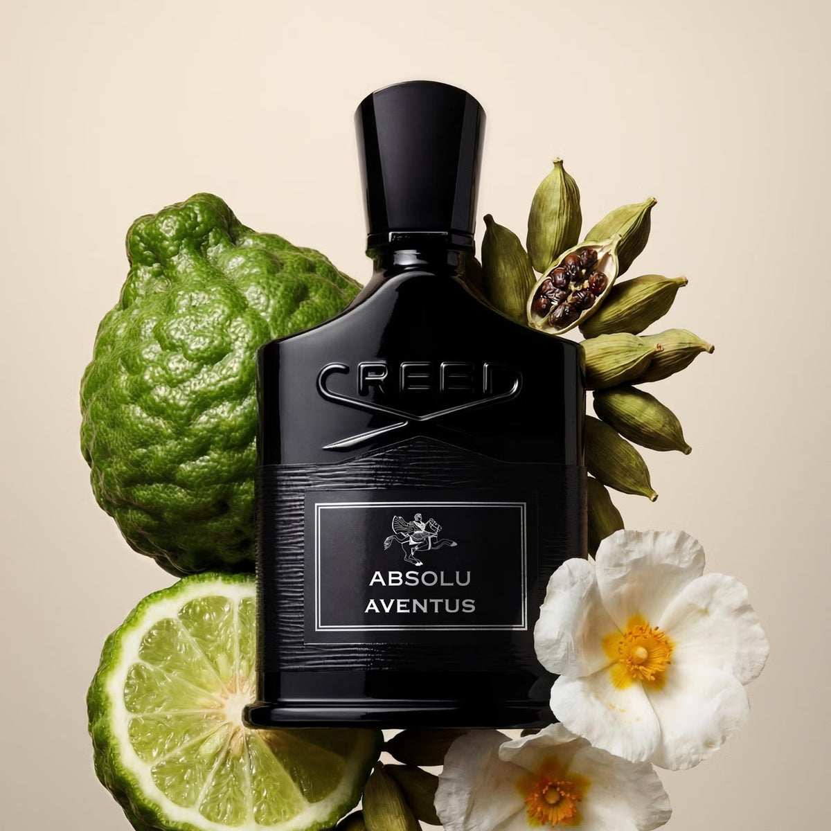 Absolu Aventus