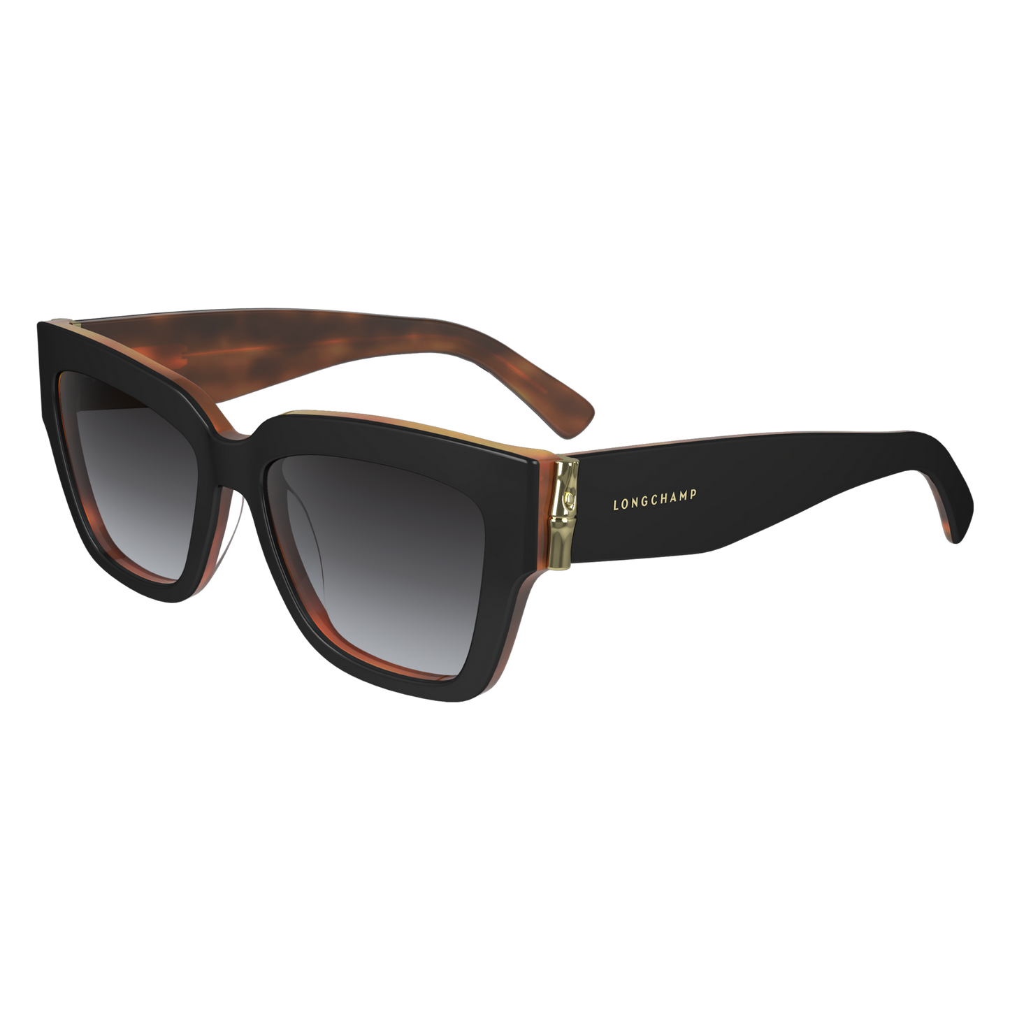 Black Tortoiseshell Sunglasses