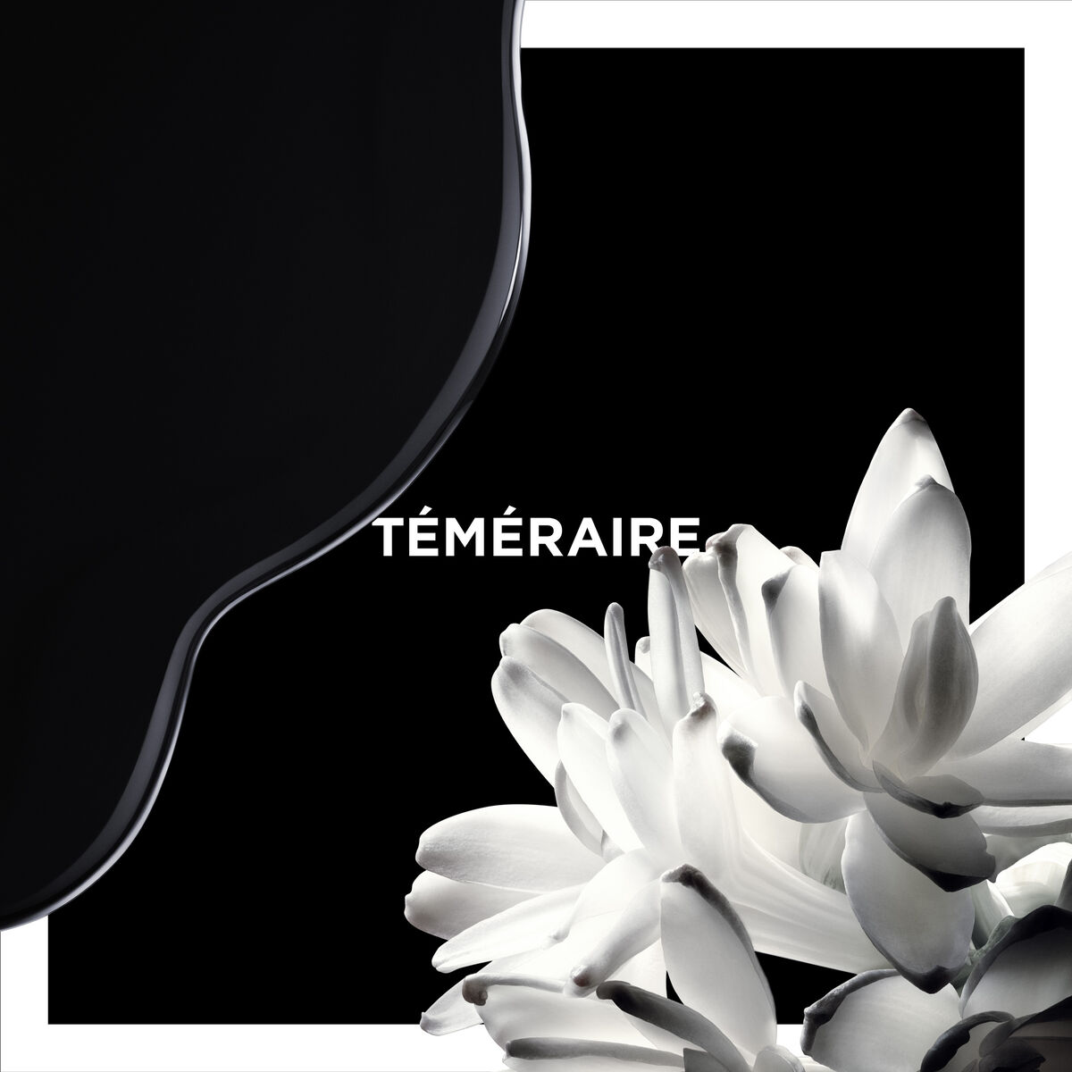 TÉMÉRAIRE