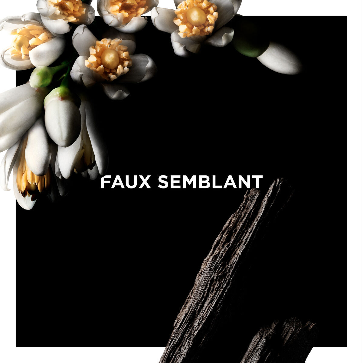 FAUX SEMBLANT