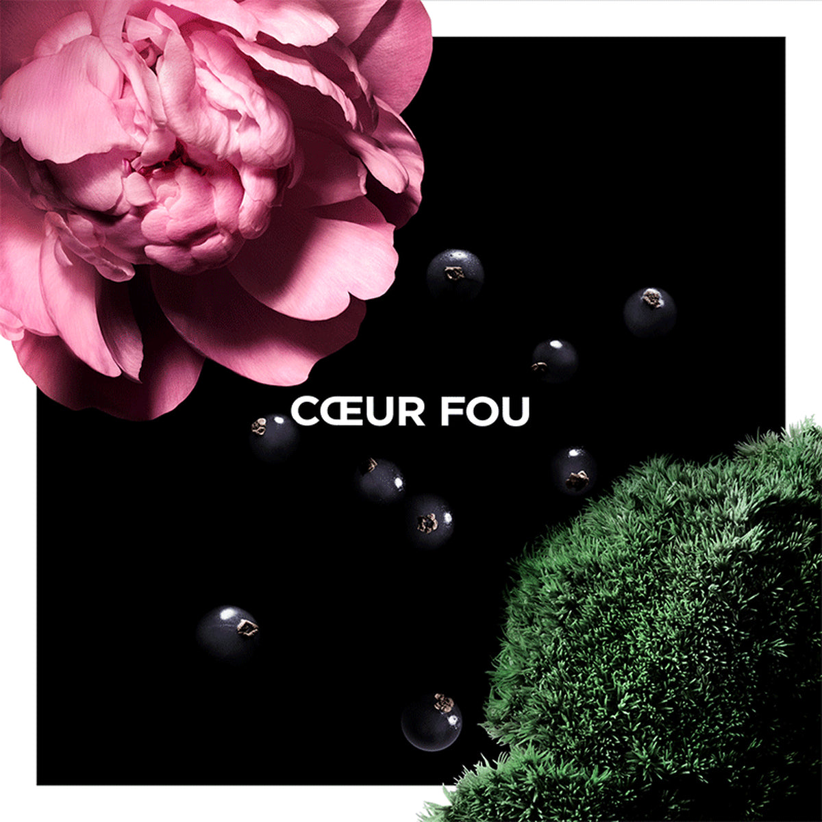 CŒUR FOU