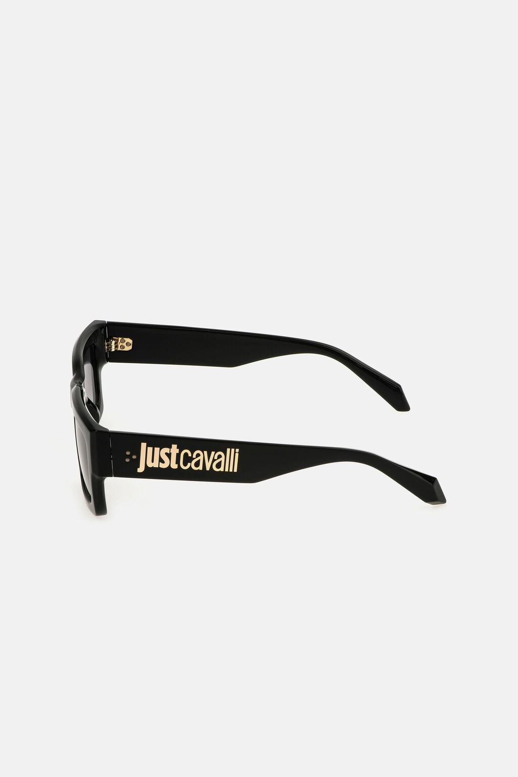 Sunglasses Just Cavalli