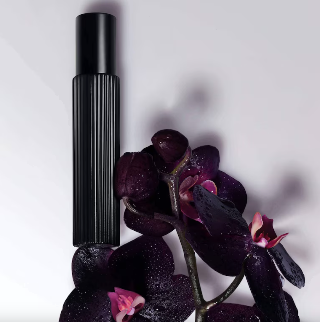 BLACK ORCHID TRAVEL SPRAY