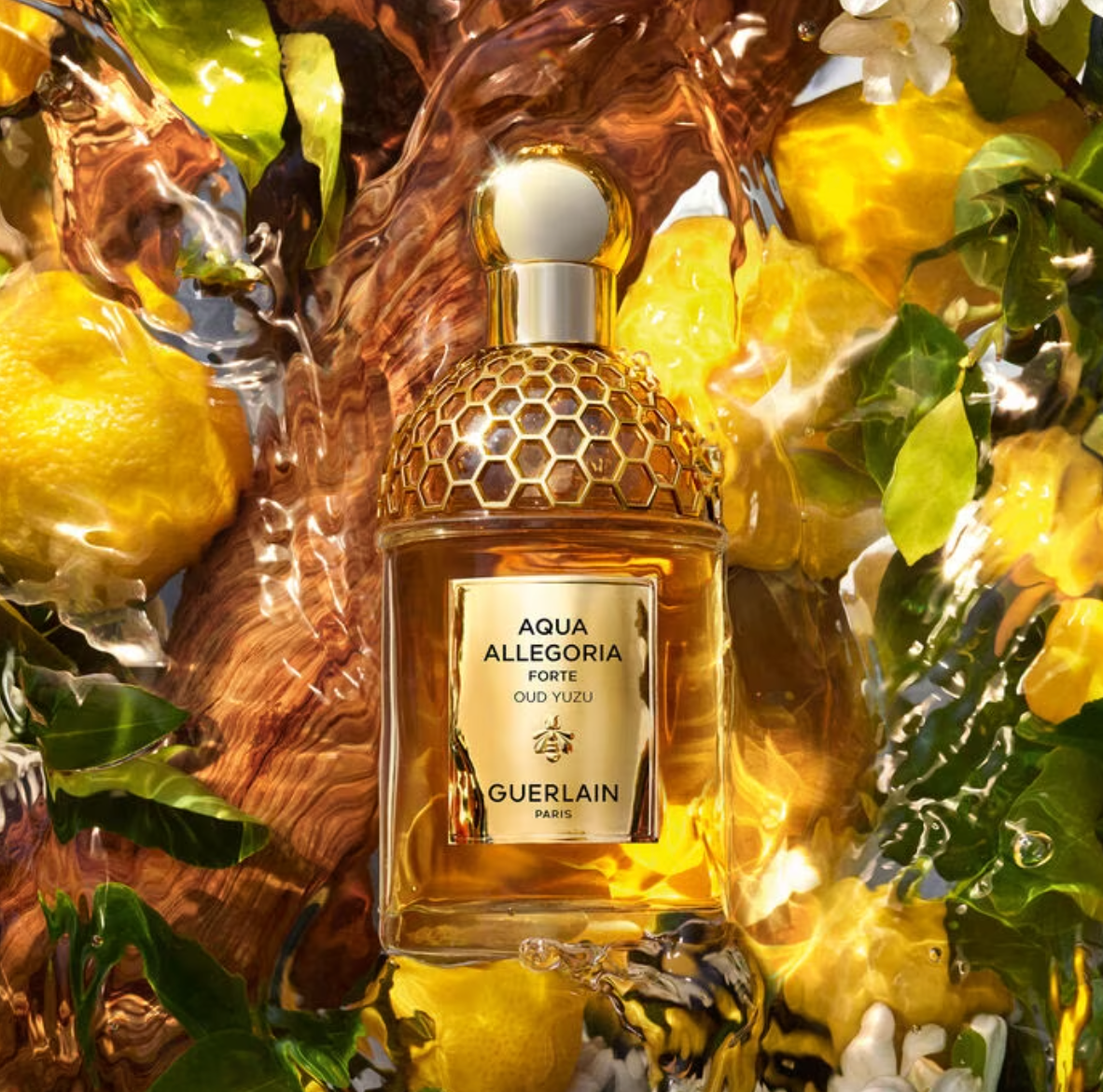 AQUA ALLEGORIA OUD YUZU FORTE - EAU DE PARFUM