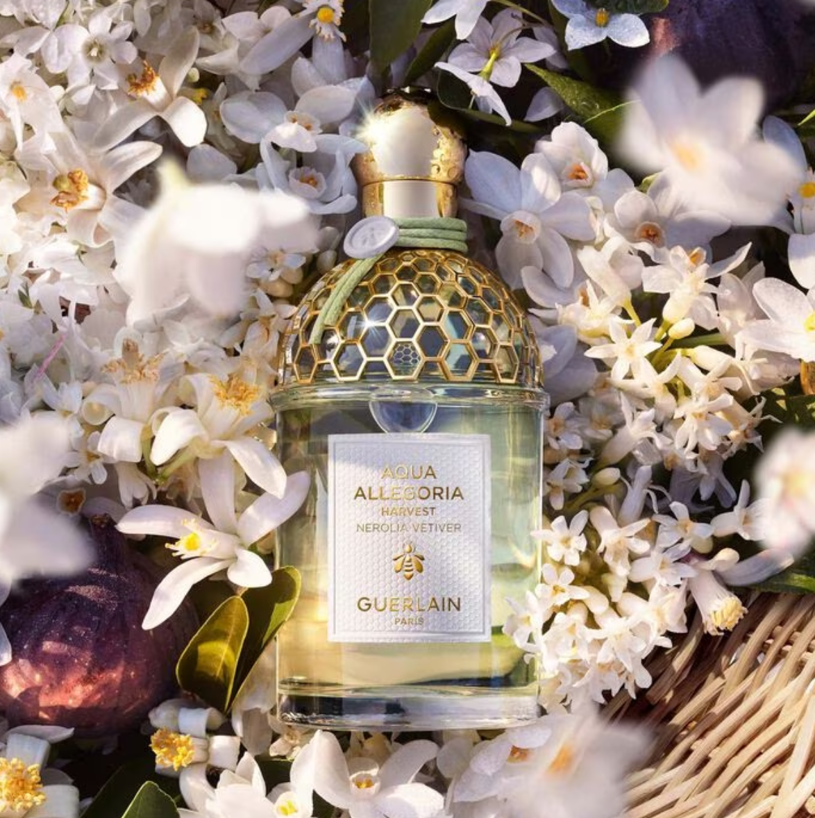 AQUA ALLEGORIA NEROLIA VETIVER HARVEST - EAU DE TOILETTE