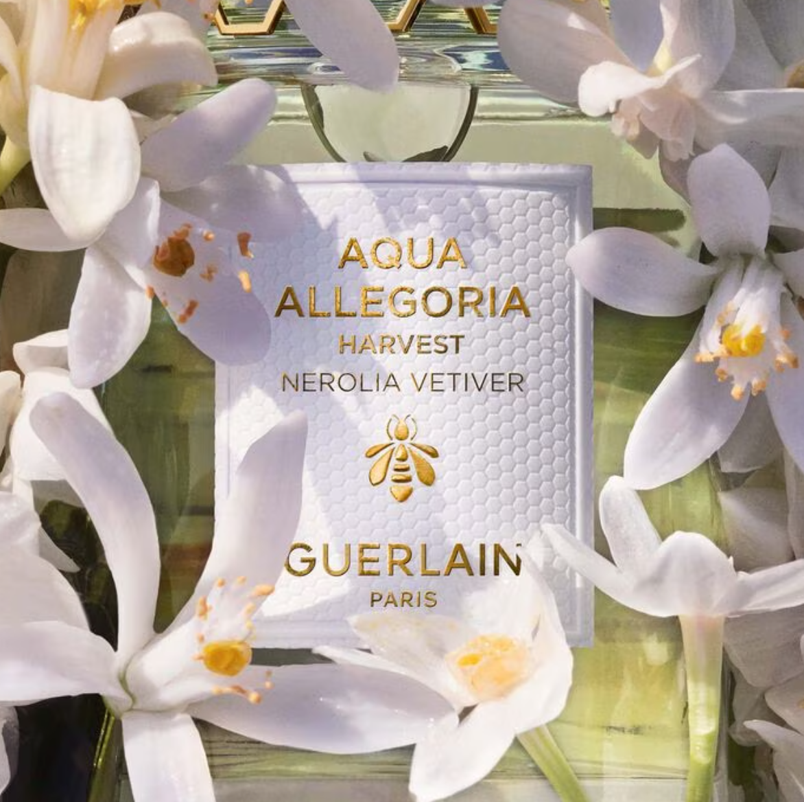 AQUA ALLEGORIA NEROLIA VETIVER HARVEST - EAU DE TOILETTE