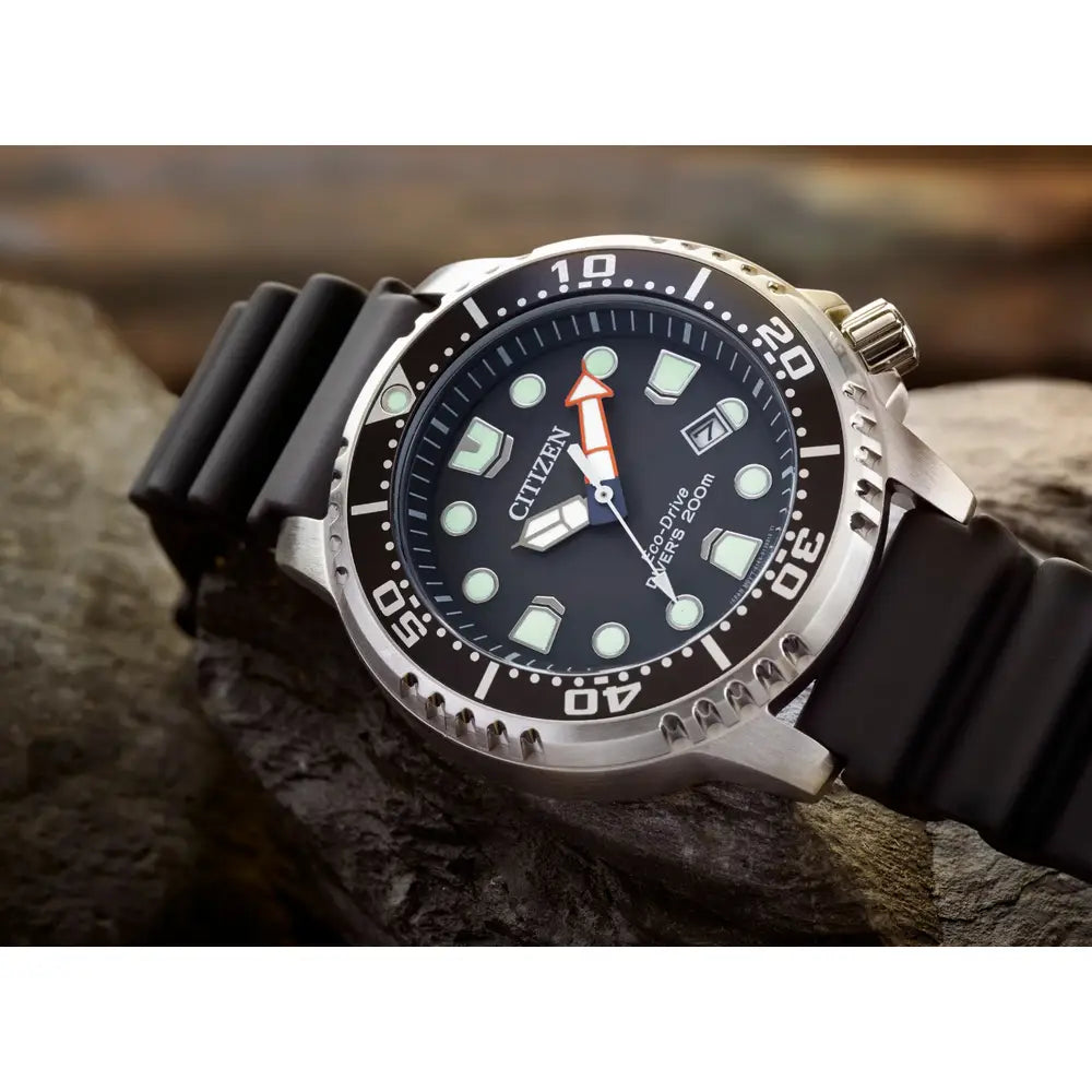 Promaster Diver