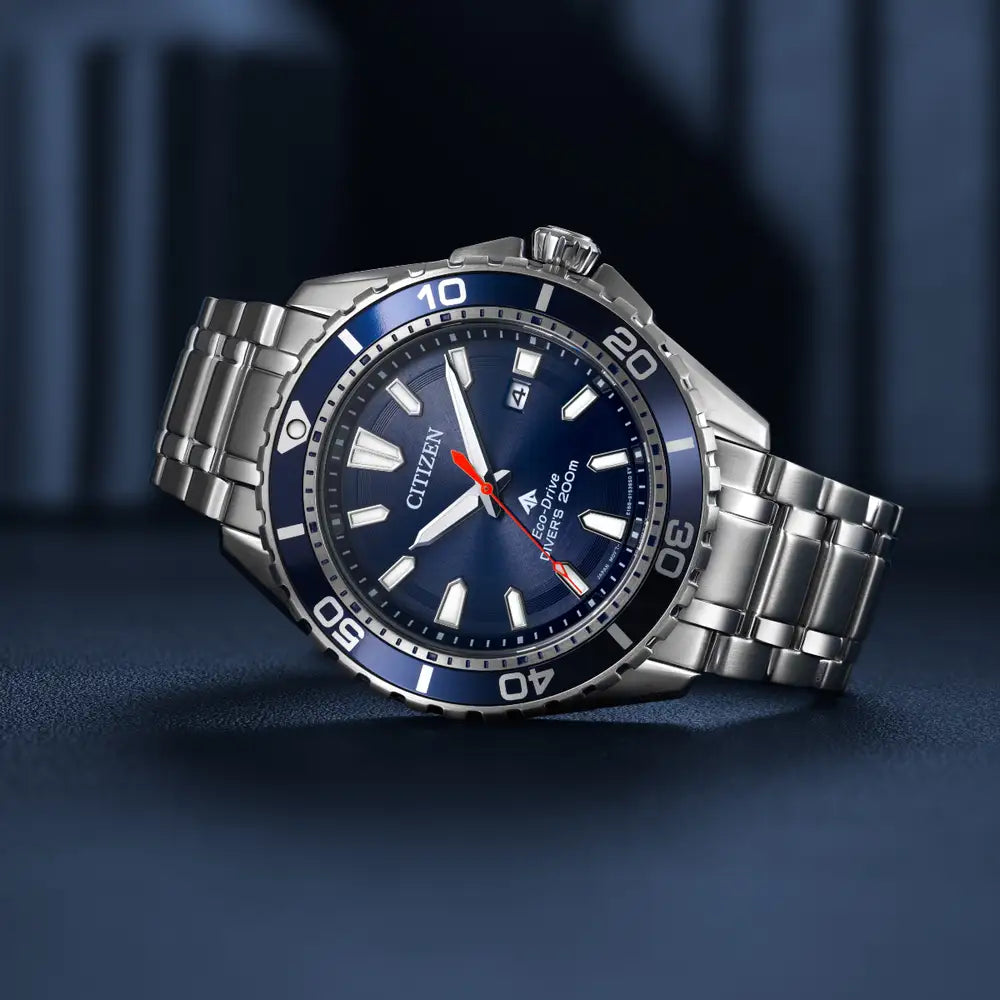 Promaster Diver