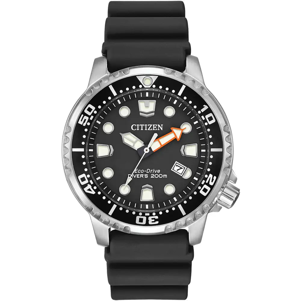 Promaster Diver