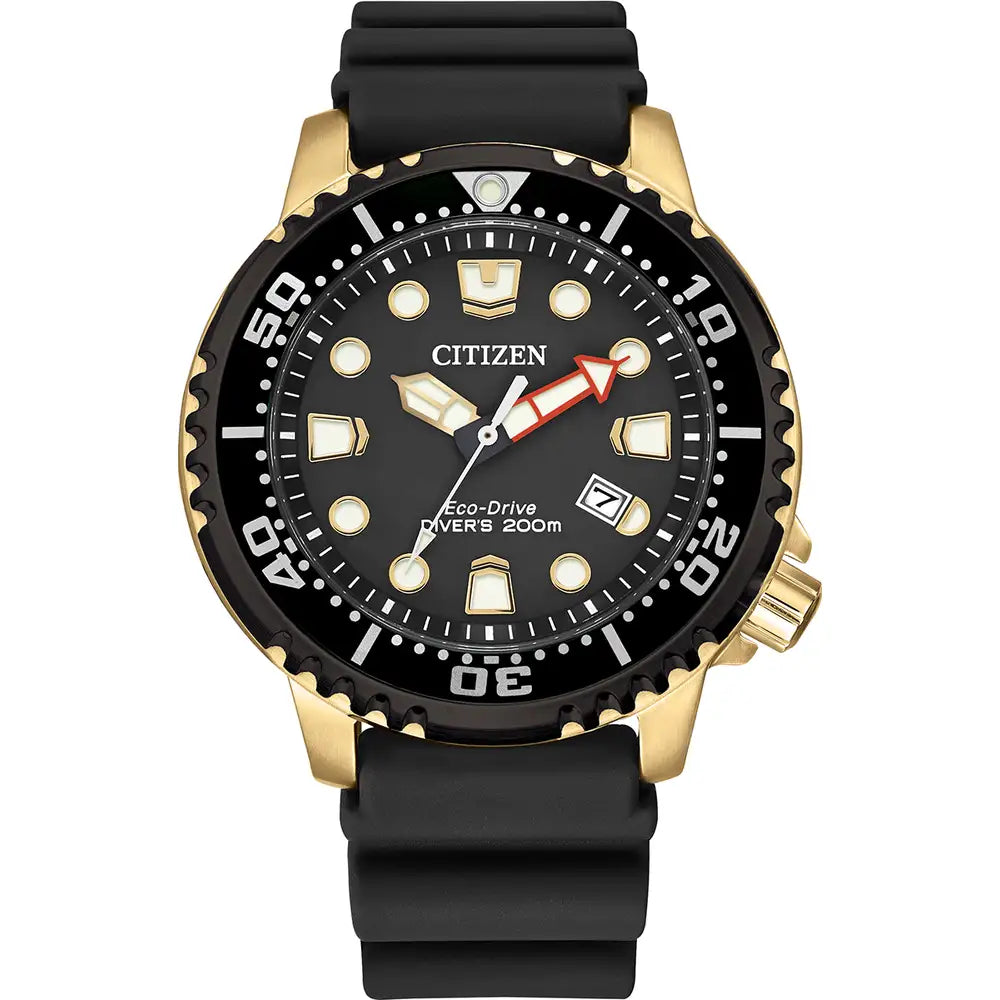 Promaster Diver