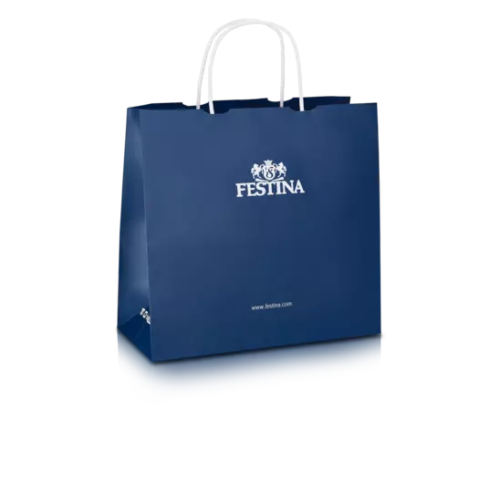 FESTINA CLASSICS WATCH F20357/1 SILVER STEEL STRAP, MEN