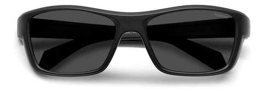 PLD 7046/S SUNGLASSES MEN